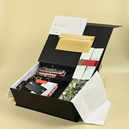 Travel Ease Comfort Corporate Kit
